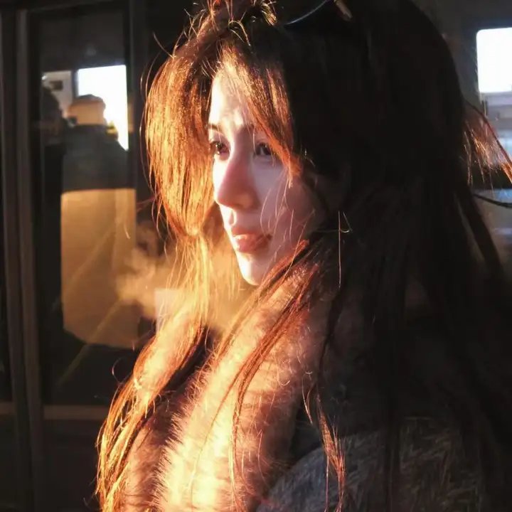 朱门巧妇海报